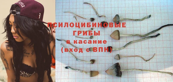 синтетический гашиш Коряжма