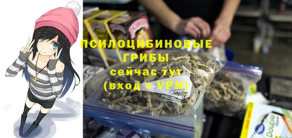 синтетический гашиш Коряжма